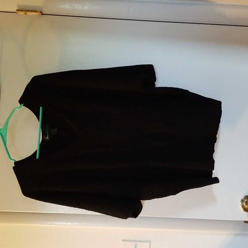 Lane Bryant V-neck, short sleeve sweater